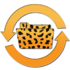 Cheetah Sync Icon
