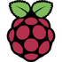 Raspberry Pi Imager Icon