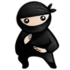 System Ninja Icon
