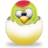 WinParrot Icon