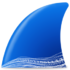 Wireshark Portable Icon