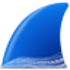 Wireshark Icon