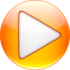 Zoom Player Standard Icon