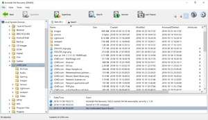 Active File Recovery for Windows Screenshot