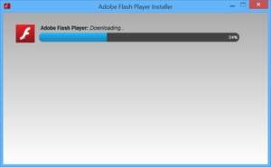 Adobe (Macromedia) Flash Player Screenshot