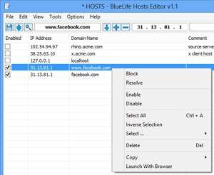 BlueLife Hosts Editor Screenshot
