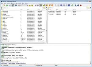 BlueZone Secure FTP Screenshot