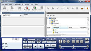 Digital Voice Editor Screenshot