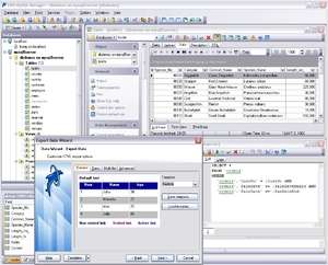 EMS SQL Manager 2007 for MySQL Screenshot
