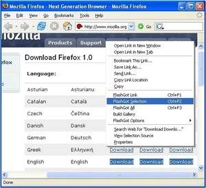 FlashGot for Firefox Screenshot