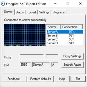 Freegate Expert Screenshot