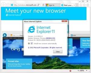 Internet Explorer 11 Screenshot