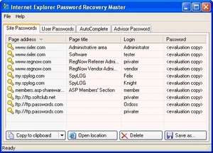 Internet Explorer Password Revealer Screenshot