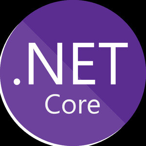 Microsoft .NET Framework Screenshot
