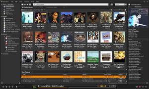 MusicBee Screenshot