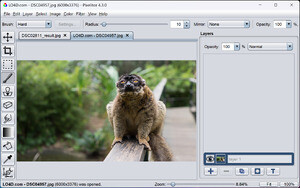 Pixelitor Screenshot