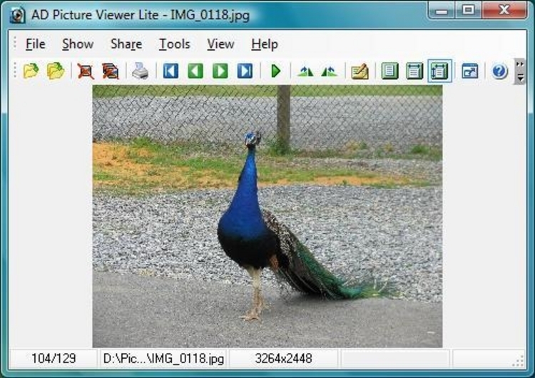 picture viewer Software - Free Download.