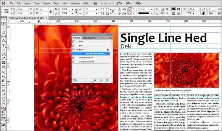 adobe indesign student price