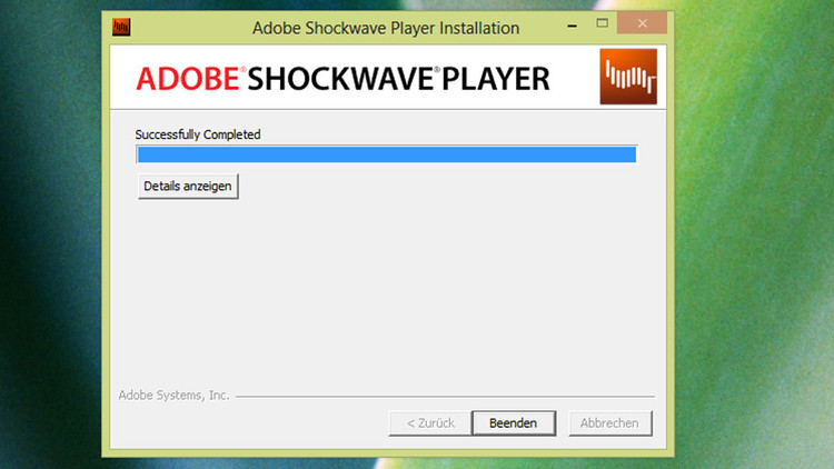 adobe shockwave vs flash player