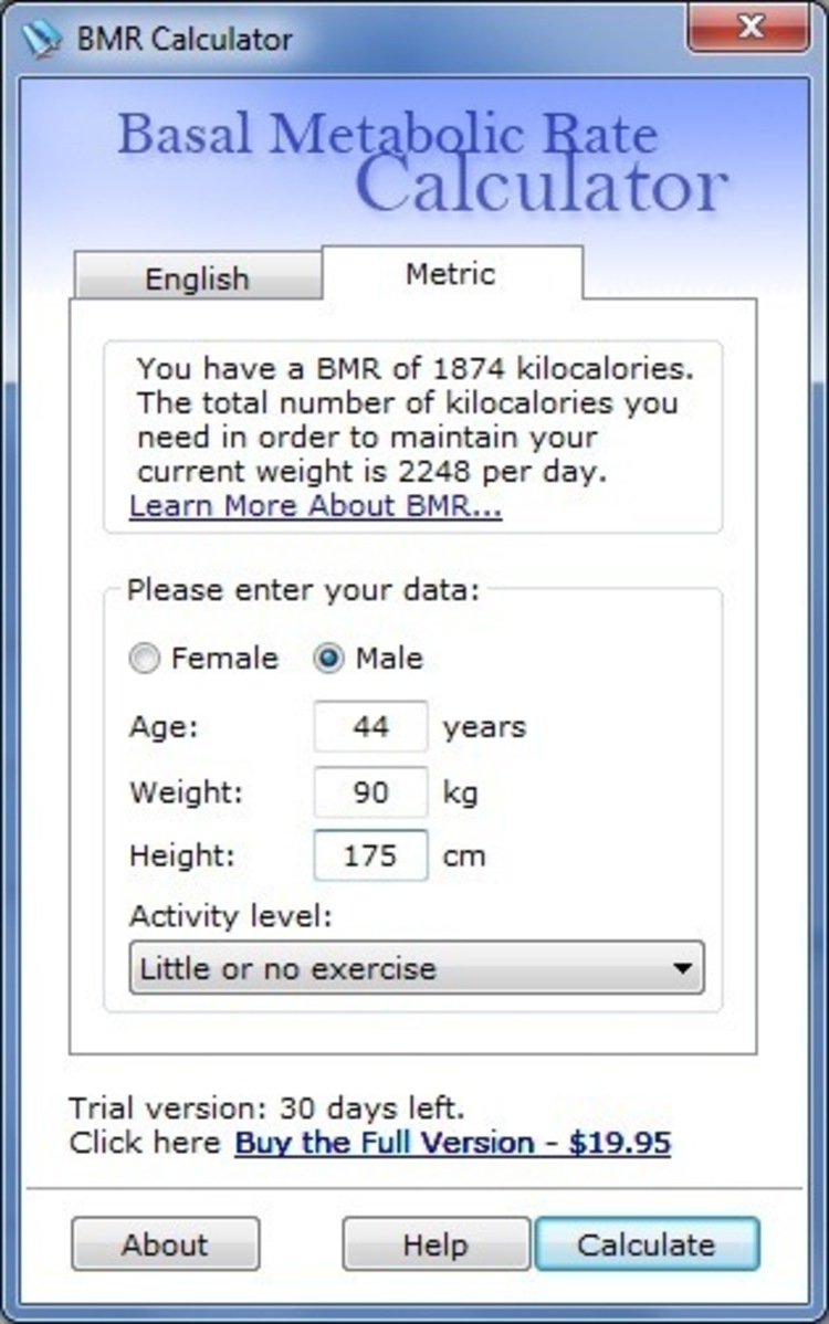 Basal Metabolic Rate Calculator Screenshot